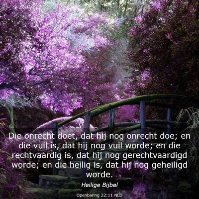 Picture 03 - Openbaring 22:11 NLD - Die onrecht doet, dat hij nog onrecht doe; en die - Bible Verse Picture