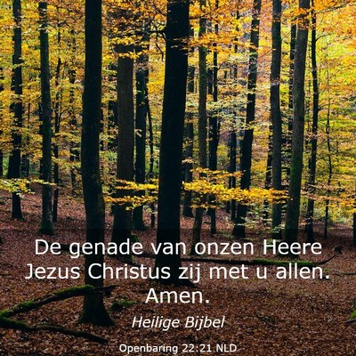 Picture 03 - Openbaring 22:21 NLD - De genade van onzen Heere Jezus Christus zij met - Bible Verse Picture