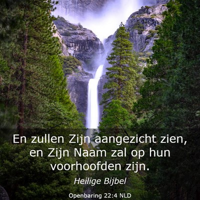 Picture 03 - Openbaring 22:4 NLD - En zullen Zijn aangezicht zien, en Zijn Naam zal - Bible Verse Picture