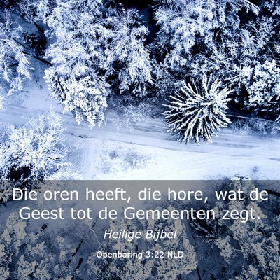 Picture 03 - Openbaring 3:22 NLD - Die oren heeft, die hore, wat de Geest tot de - Bible Verse Picture