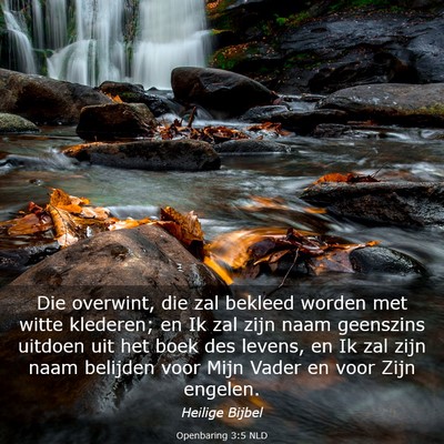 Picture 03 - Openbaring 3:5 NLD - Die overwint, die zal bekleed worden met witte - Bible Verse Picture