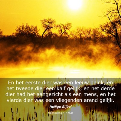 Picture 03 - Openbaring 4:7 NLD - En het eerste dier was een leeuw gelijk, en het - Bible Verse Picture