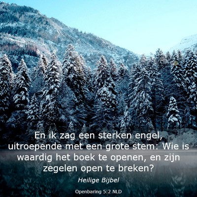 Picture 03 - Openbaring 5:2 NLD - En ik zag een sterken engel, uitroepende met een - Bible Verse Picture