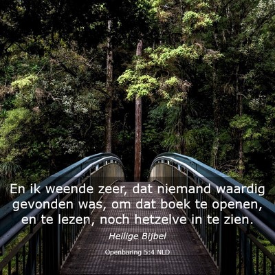 Picture 03 - Openbaring 5:4 NLD - En ik weende zeer, dat niemand waardig gevonden - Bible Verse Picture