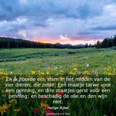 Picture 03 - Openbaring 6:6 NLD - En ik hoorde een stem in het midden van de vier - Bible Verse Picture