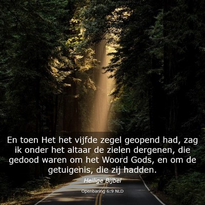 Picture 03 - Openbaring 6:9 NLD - En toen Het het vijfde zegel geopend had, zag ik - Bible Verse Picture