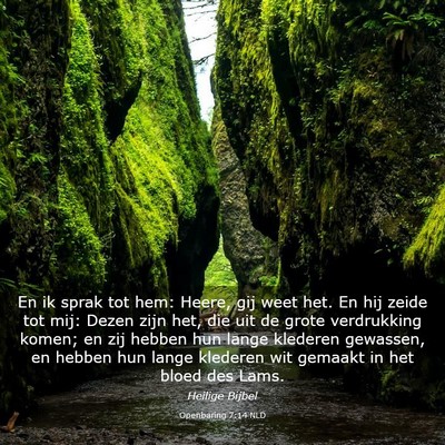 Picture 03 - Openbaring 7:14 NLD - En ik sprak tot hem: Heere, gij weet het. En hij - Bible Verse Picture