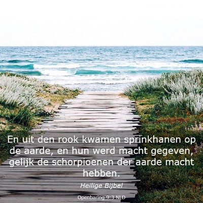 Picture 03 - Openbaring 9:3 NLD - En uit den rook kwamen sprinkhanen op de aarde, - Bible Verse Picture