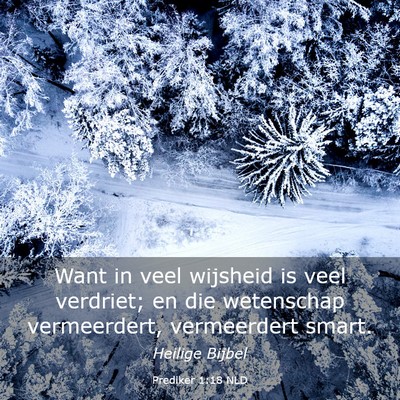 Picture 03 - Prediker 1:18 NLD - Want in veel wijsheid is veel verdriet; en die - Bible Verse Picture