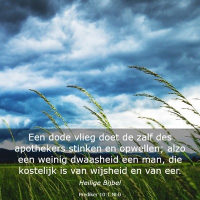 Picture 03 - Prediker 10:1 NLD - Een dode vlieg doet de zalf des apothekers - Bible Verse Picture