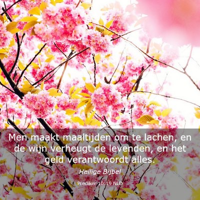 Picture 03 - Prediker 10:19 NLD - Men maakt maaltijden om te lachen, en de wijn - Bible Verse Picture