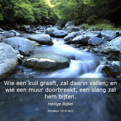 Picture 03 - Prediker 10:8 NLD - Wie een kuil graaft, zal daarin vallen; en wie - Bible Verse Picture