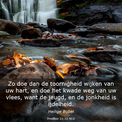 Picture 03 - Prediker 11:10 NLD - Zo doe dan de toornigheid wijken van uw hart, en - Bible Verse Picture