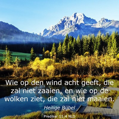 Picture 03 - Prediker 11:4 NLD - Wie op den wind acht geeft, die zal niet zaaien, - Bible Verse Picture