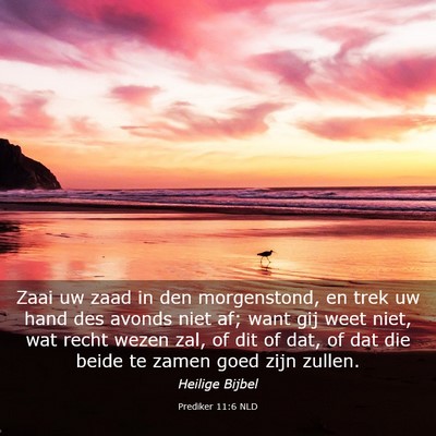 Picture 03 - Prediker 11:6 NLD - Zaai uw zaad in den morgenstond, en trek uw hand - Bible Verse Picture