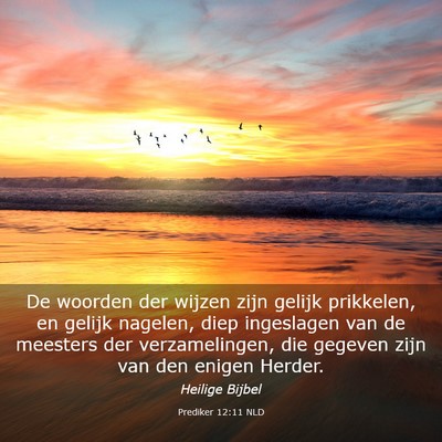 Picture 03 - Prediker 12:11 NLD - De woorden der wijzen zijn gelijk prikkelen, en - Bible Verse Picture