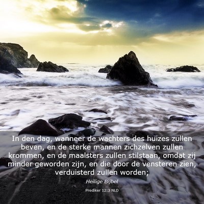 Picture 03 - Prediker 12:3 NLD - In den dag, wanneer de wachters des huizes zullen - Bible Verse Picture