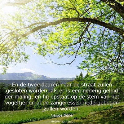 Picture 03 - Prediker 12:4 NLD - En de twee deuren naar de straat zullen gesloten - Bible Verse Picture