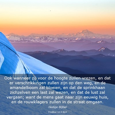 Picture 03 - Prediker 12:5 NLD - Ook wanneer zij voor de hoogte zullen vrezen, en - Bible Verse Picture