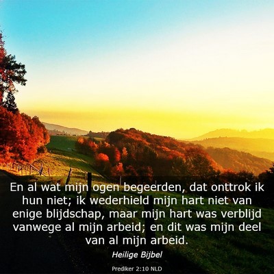 Picture 03 - Prediker 2:10 NLD - En al wat mijn ogen begeerden, dat onttrok ik hun - Bible Verse Picture