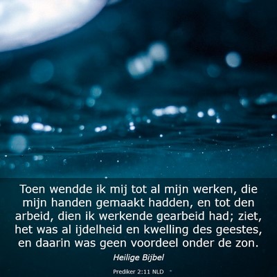 Picture 03 - Prediker 2:11 NLD - Toen wendde ik mij tot al mijn werken, die mijn - Bible Verse Picture