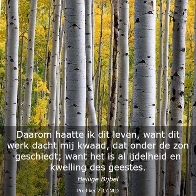 Picture 03 - Prediker 2:17 NLD - Daarom haatte ik dit leven, want dit werk dacht - Bible Verse Picture