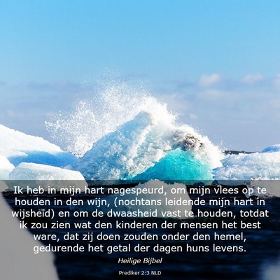 Picture 03 - Prediker 2:3 NLD - Ik heb in mijn hart nagespeurd, om mijn vlees op - Bible Verse Picture