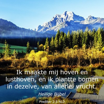 Picture 03 - Prediker 2:5 NLD - Ik maakte mij hoven en lusthoven, en ik plantte - Bible Verse Picture
