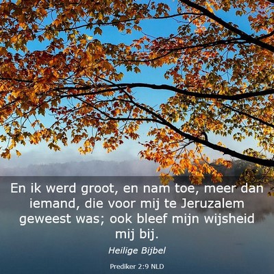 Picture 03 - Prediker 2:9 NLD - En ik werd groot, en nam toe, meer dan iemand, - Bible Verse Picture
