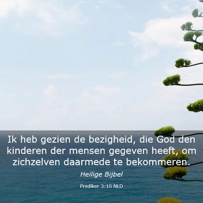 Picture 03 - Prediker 3:10 NLD - Ik heb gezien de bezigheid, die God den kinderen - Bible Verse Picture