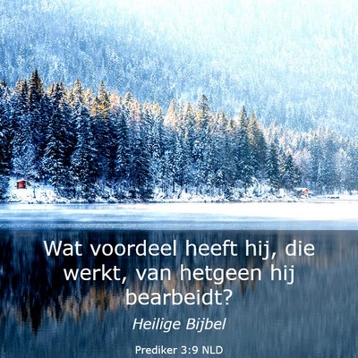 Picture 03 - Prediker 3:9 NLD - Wat voordeel heeft hij, die werkt, van hetgeen - Bible Verse Picture