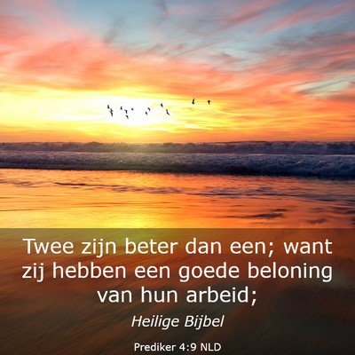Picture 03 - Prediker 4:9 NLD - Twee zijn beter dan een; want zij hebben een - Bible Verse Picture