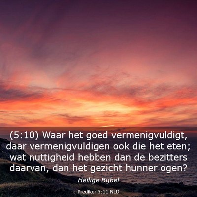 Picture 03 - Prediker 5:11 NLD - (5:10) Waar het goed vermenigvuldigt, daar - Bible Verse Picture