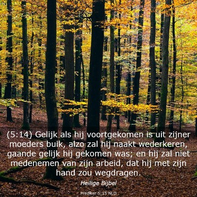 Picture 03 - Prediker 5:15 NLD - (5:14) Gelijk als hij voortgekomen is uit zijner - Bible Verse Picture