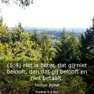 Picture 03 - Prediker 5:5 NLD - (5:4) Het is beter, dat gij niet belooft, dan dat - Bible Verse Picture