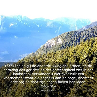 Picture 03 - Prediker 5:8 NLD - (5:7) Indien gij de onderdrukking des armen, en - Bible Verse Picture
