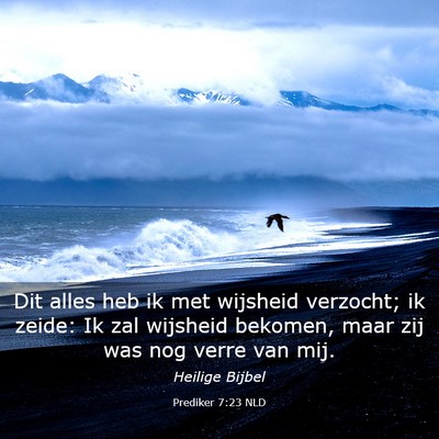 Picture 03 - Prediker 7:23 NLD - Dit alles heb ik met wijsheid verzocht; ik zeide: - Bible Verse Picture