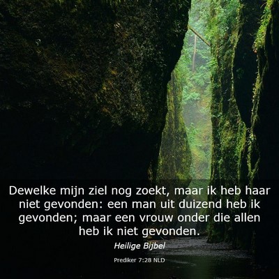 Picture 03 - Prediker 7:28 NLD - Dewelke mijn ziel nog zoekt, maar ik heb haar - Bible Verse Picture