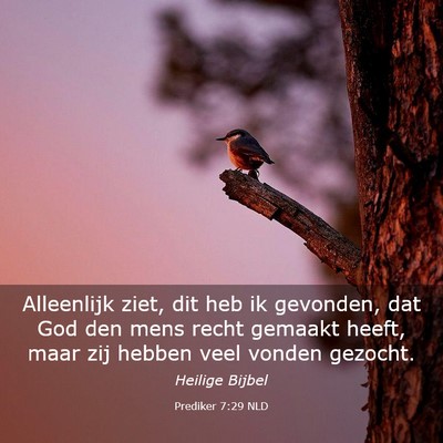 Picture 03 - Prediker 7:29 NLD - Alleenlijk ziet, dit heb ik gevonden, dat God den - Bible Verse Picture
