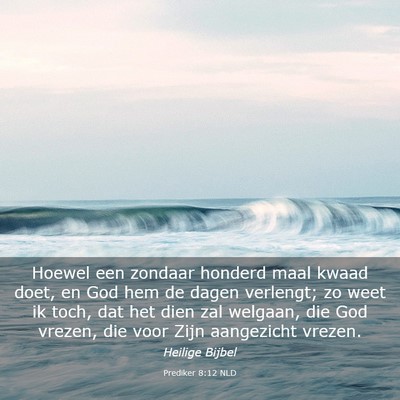 Picture 03 - Prediker 8:12 NLD - Hoewel een zondaar honderd maal kwaad doet, en - Bible Verse Picture