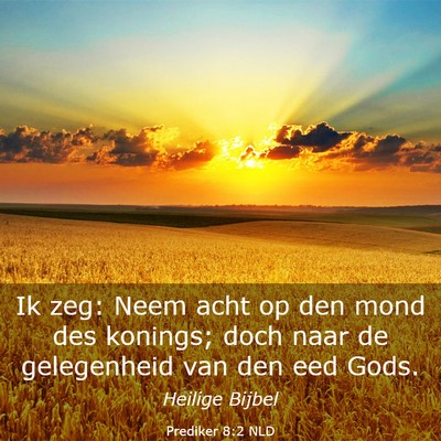 Picture 03 - Prediker 8:2 NLD - Ik zeg: Neem acht op den mond des konings; doch - Bible Verse Picture