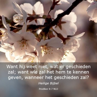 Picture 03 - Prediker 8:7 NLD - Want hij weet niet, wat er geschieden zal; want - Bible Verse Picture