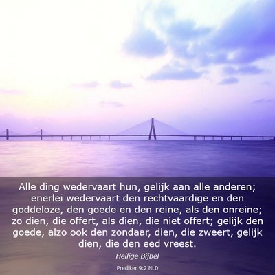 Picture 03 - Prediker 9:2 NLD - Alle ding wedervaart hun, gelijk aan alle - Bible Verse Picture
