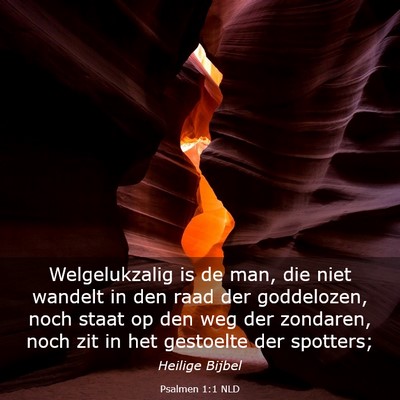 Picture 03 - Psalmen 1:1 NLD - Welgelukzalig is de man, die niet wandelt in den - Bible Verse Picture