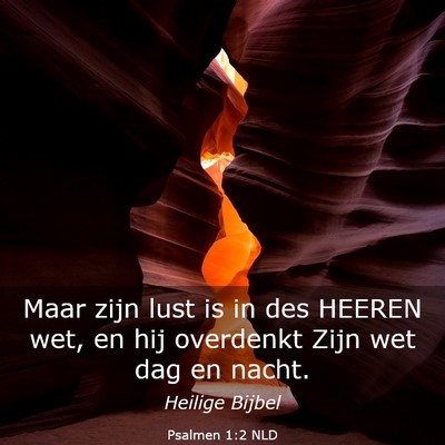 Picture 03 - Psalmen 1:2 NLD - Maar zijn lust is in des HEEREN wet, en hij - Bible Verse Picture