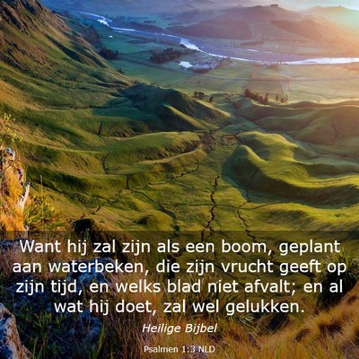 Picture 03 - Psalmen 1:3 NLD - Want hij zal zijn als een boom, geplant aan - Bible Verse Picture