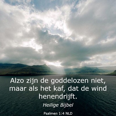 Picture 03 - Psalmen 1:4 NLD - Alzo zijn de goddelozen niet, maar als het kaf, - Bible Verse Picture