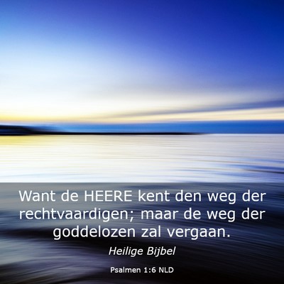 Picture 03 - Psalmen 1:6 NLD - Want de HEERE kent den weg der rechtvaardigen; - Bible Verse Picture
