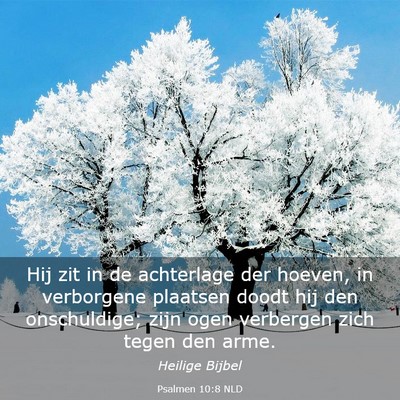 Picture 03 - Psalmen 10:8 NLD - Hij zit in de achterlage der hoeven, in - Bible Verse Picture