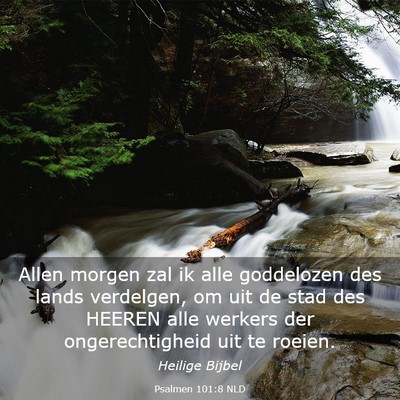 Picture 03 - Psalmen 101:8 NLD - Allen morgen zal ik alle goddelozen des lands - Bible Verse Picture